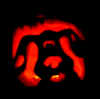 pumpkin carving pattern