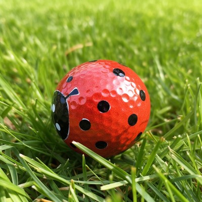 painted ladybug golf ball
