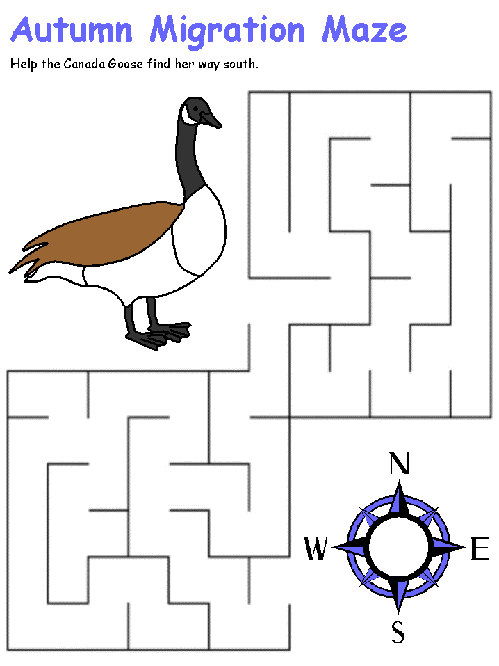 color version of the printable autumn migration maze - help the Canada Goose find her way south.