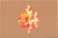 stained glass leaf craft