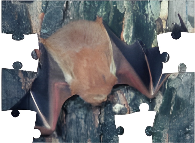 Bat jigsaw puzzle