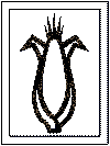 kwanzaa coloring pages