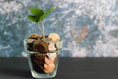 growing your money