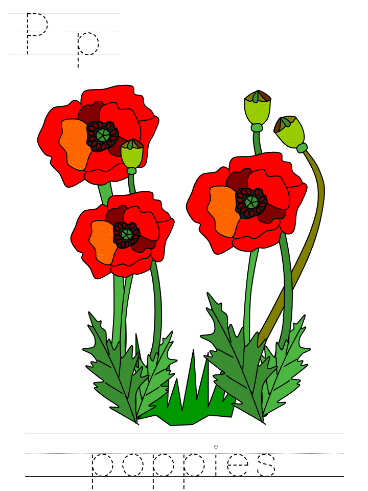 Pp poppies block print tracer page