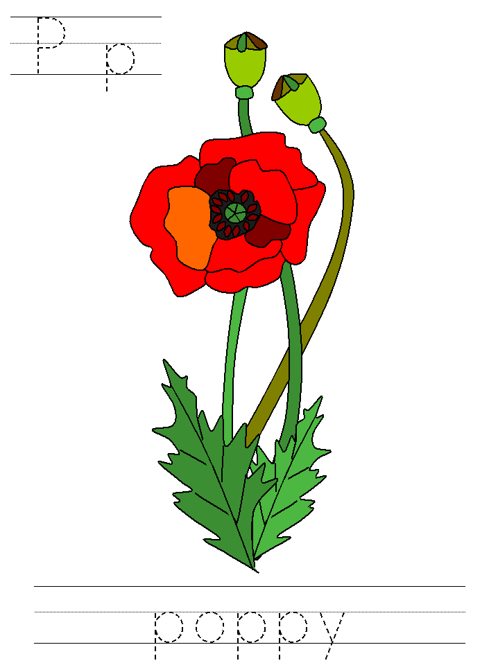 Pp poppy block print tracer page