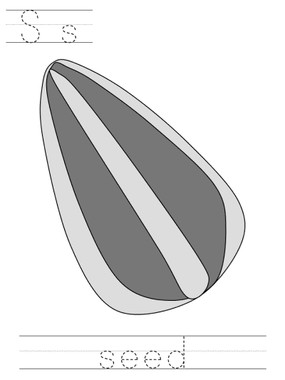 spring tracer page - Ss seed