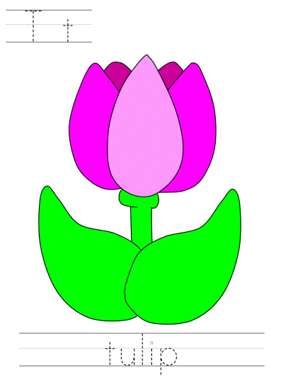 spring tracer page - Tt tulip