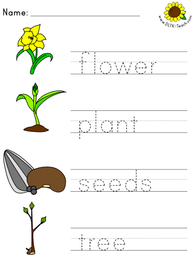 picture clue tracer worksheet of spring plants - flower, plant, seeds, tree