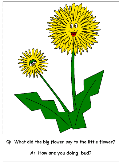 Spring Riddles Coloring Page