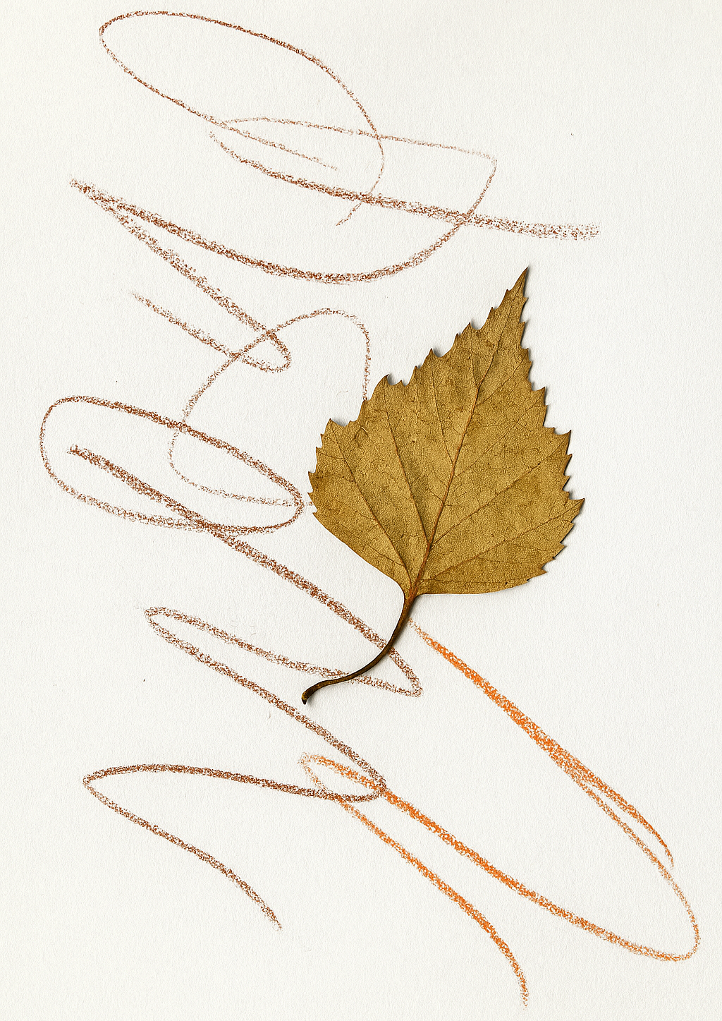 toddler pressed leaf craft