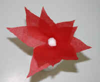 tissue flowers