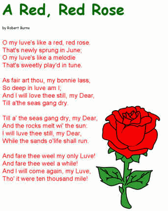 A Red, Red Rose poem