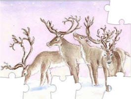reindeer puzzle