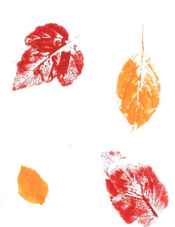 leaves