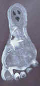 ghost footprint craft