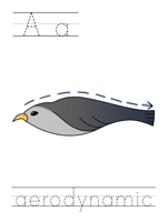 Printable print practice worksheet - Aa aerodynamic