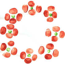 Fingerprint poppy wreath
