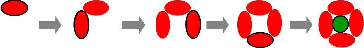 poppy fingerprint instructions