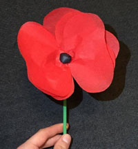 tissue paper poppy