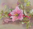 jigsaw puzzles