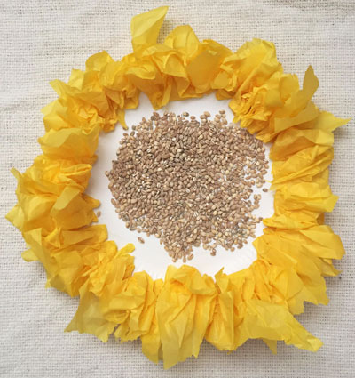 sunshine maraca craft